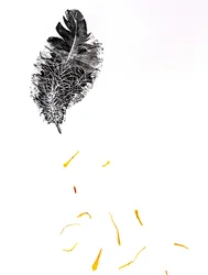 羽毛{Fay-erie Dust}、2014（紙の彫刻と植物の破片）